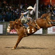 JH Rodeo